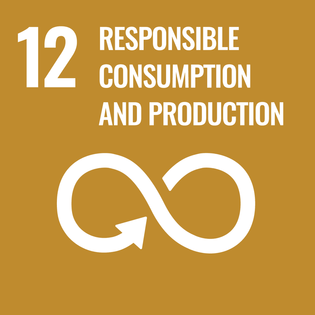 SDG 12 — Responsible Consumption & Production